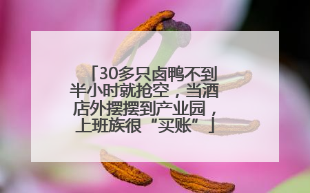 30多只卤鸭不到半小时就抢空，当酒店外摆摆到产业园，上班族很“买账”